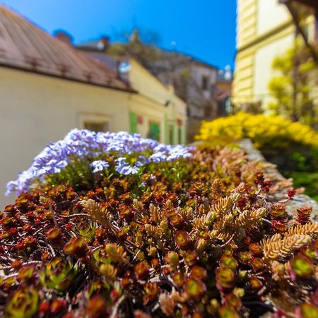Penzion U Hradku Кутна Гора Екстер'єр фото